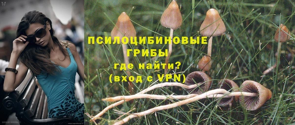 a pvp Алексин