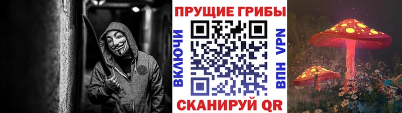 Галлюциногенные грибы Psilocybe  сколько стоит  kraken маркетплейс  Цимлянск 