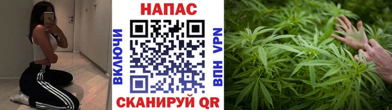 Каннабис семена наркошоп площадка Telegram Цимлянск